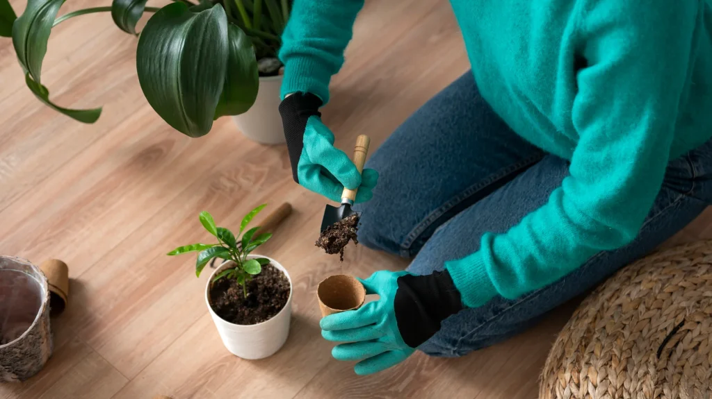 Plant Maintenance Service