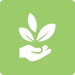 Plant Placement & Care Guidance
